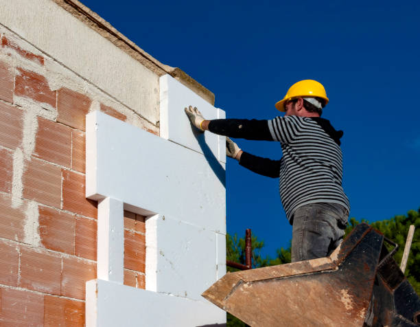 Best Residential Insulation Services  in Orlinda, TN