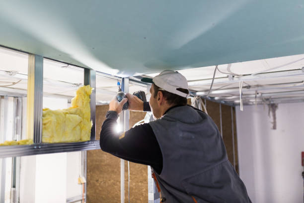 Best Attic Insulation Installation  in Orlinda, TN