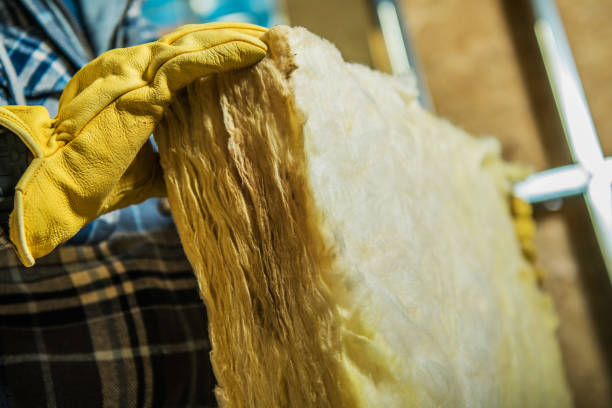 Best Wall Insulation Contractor  in Orlinda, TN