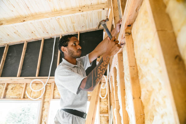 Best Home Insulation Services  in Orlinda, TN