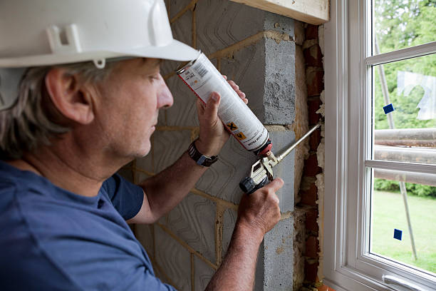 Best Insulation Removal  in Orlinda, TN